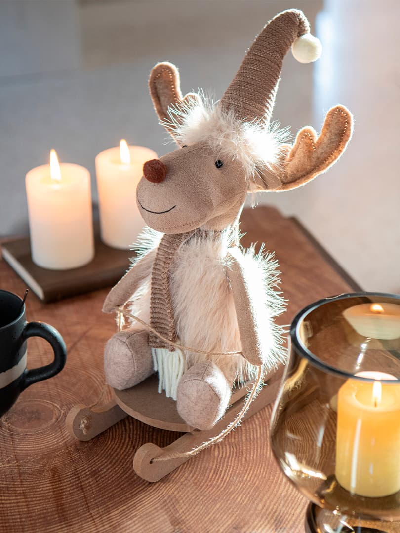 Alce Morbida con Slitta