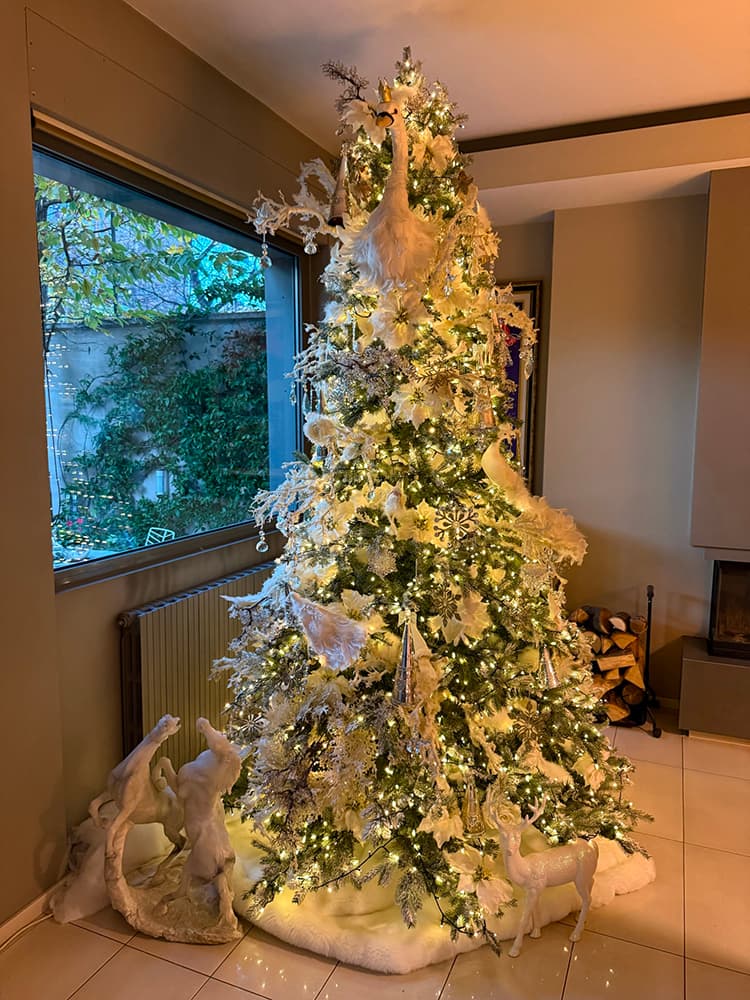 Enrico Castelli creazione