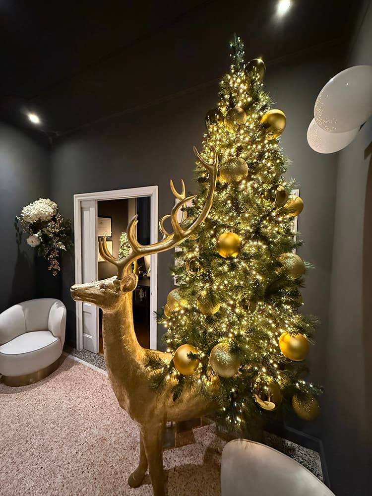 Enrico Castelli creazione