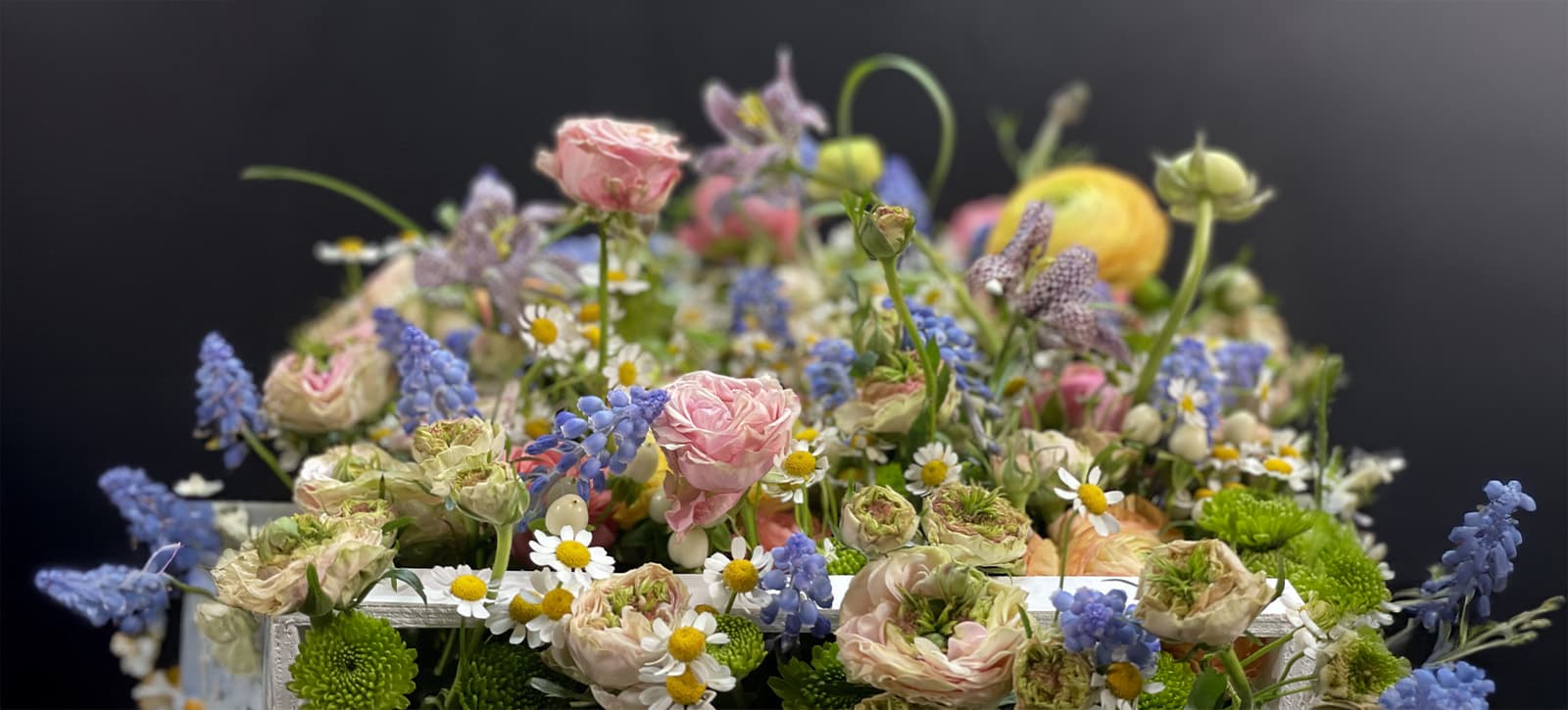 Enrico Castelli creazioni