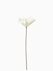 Fiore Foglie Corte 1 Testa Eva Bianco