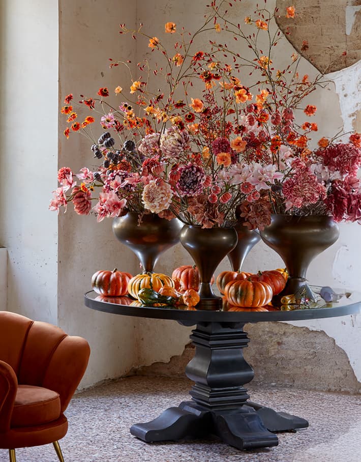 Fiori piante vasi collezione