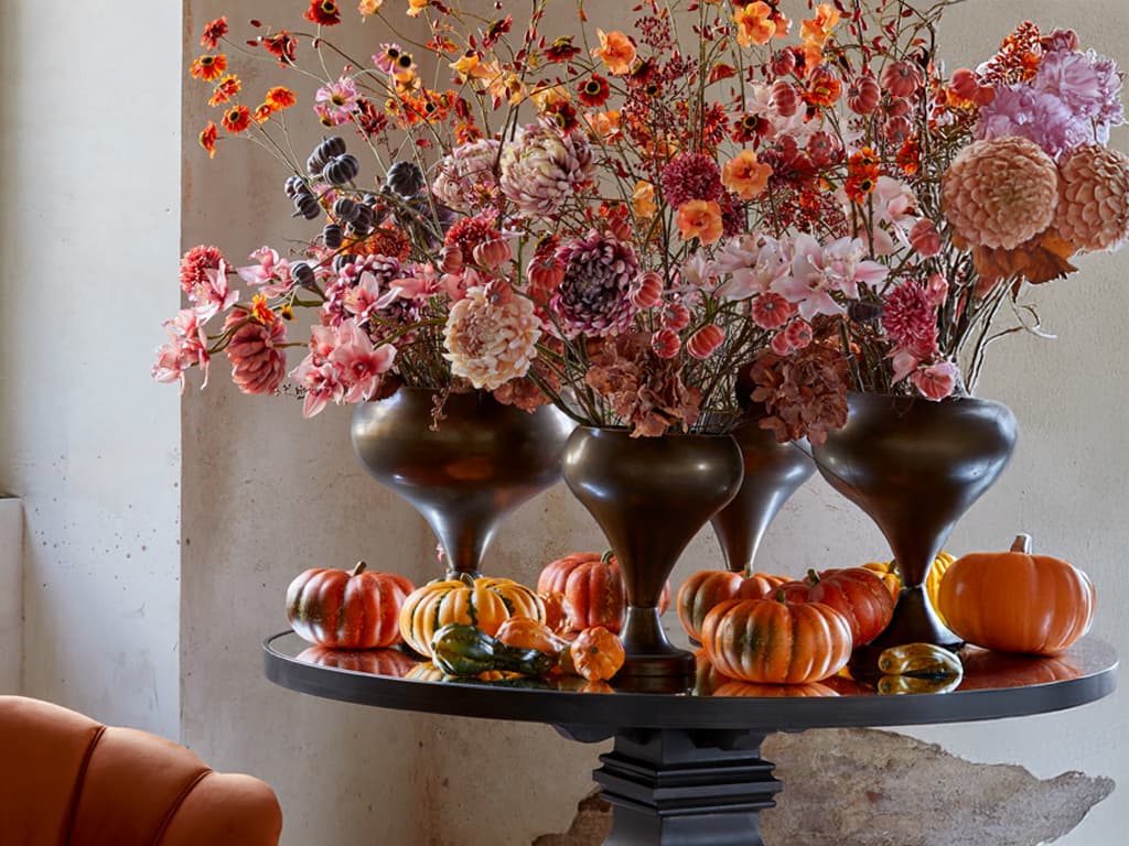 Fiori piante vasi collezione