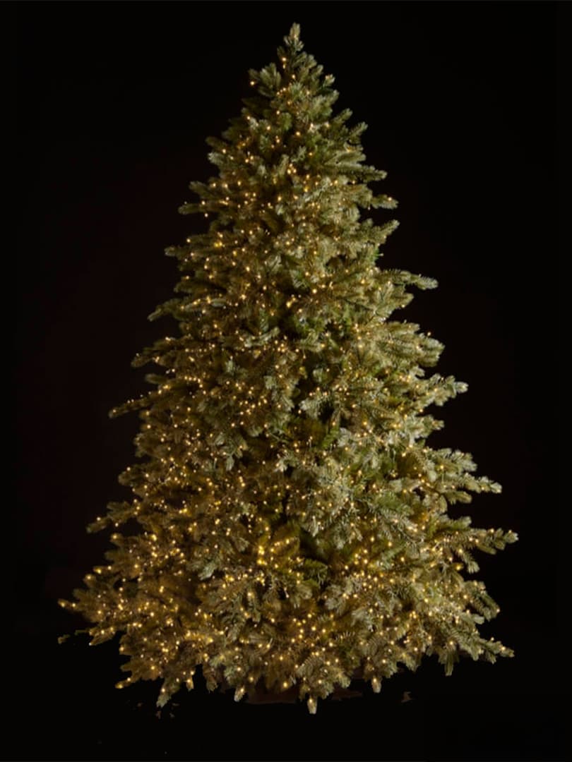 Pino Argentato Illuminato