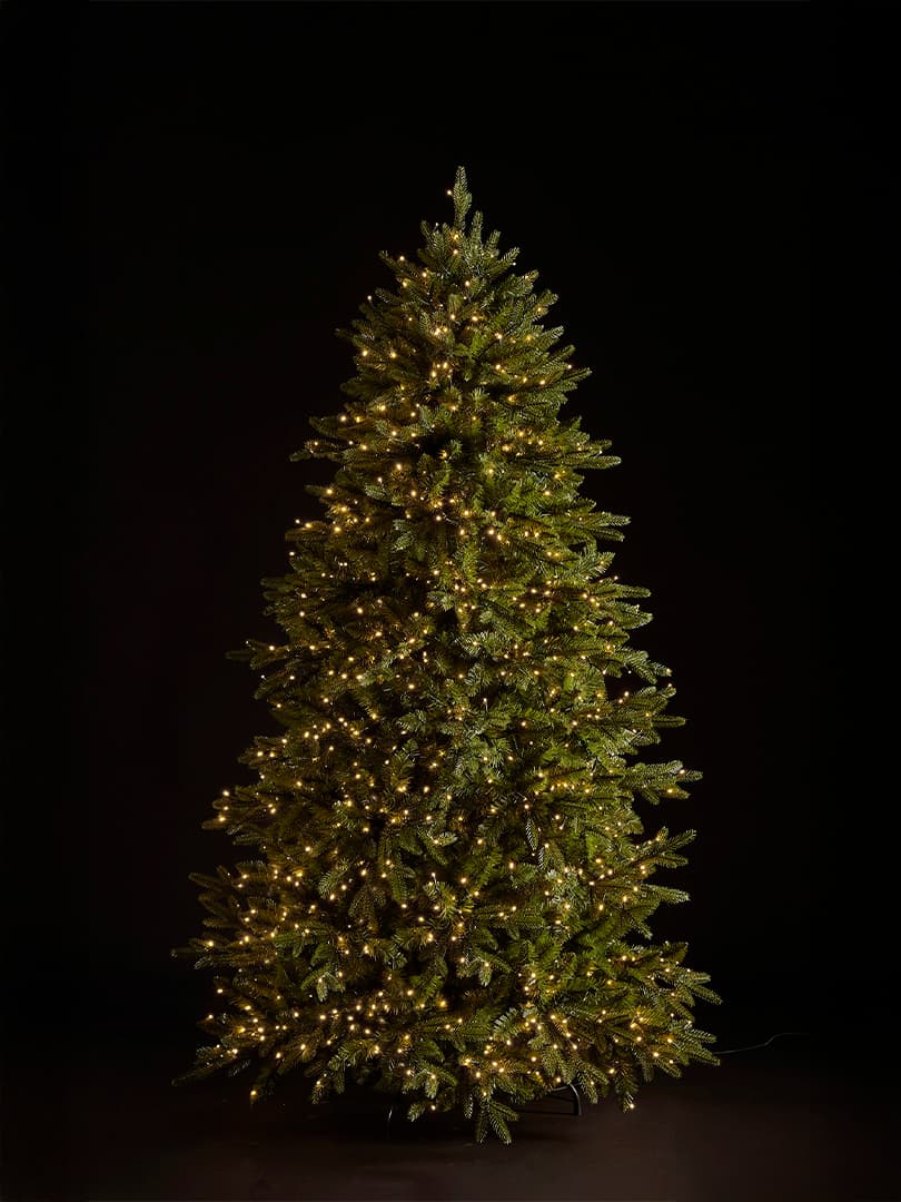 Pino Cristallo Illuminato h210