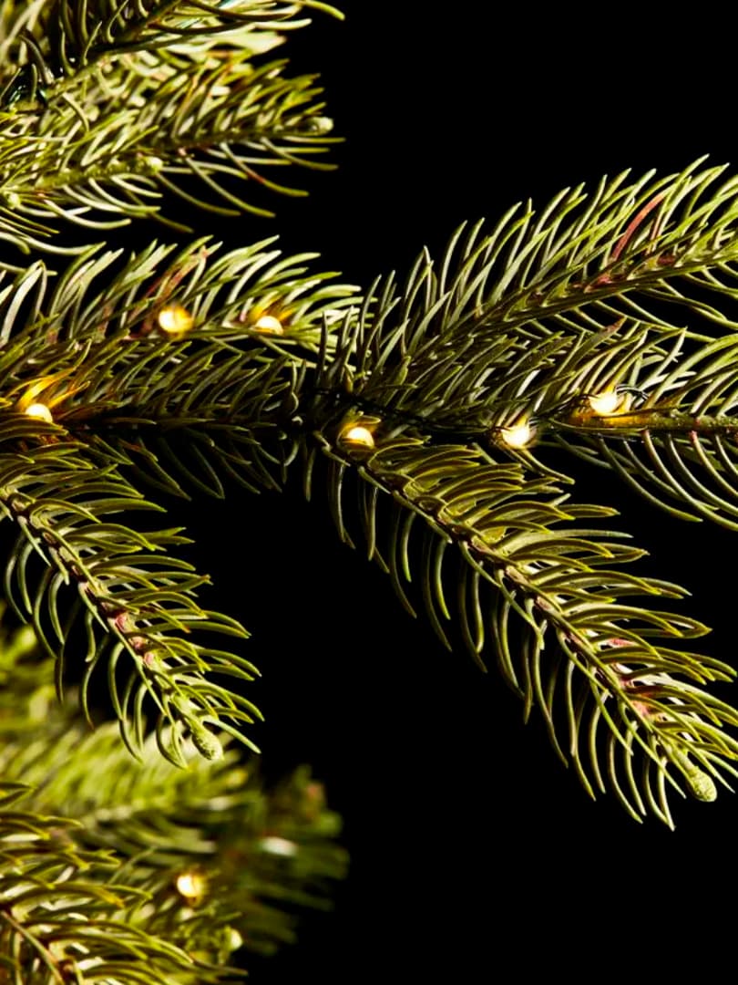 Pino Merano h210 con mini LED