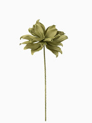Ramo 1 Fiore Eva Verde