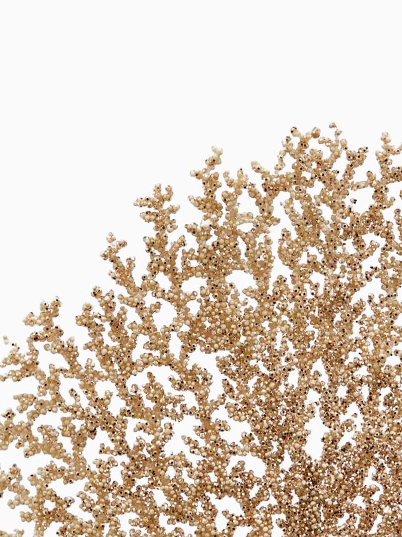 Ramo Corallo Champagne