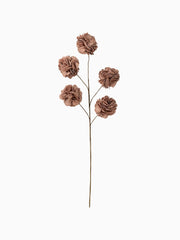 Ramo Fiore 5 Pompon Eva Rosa Nude