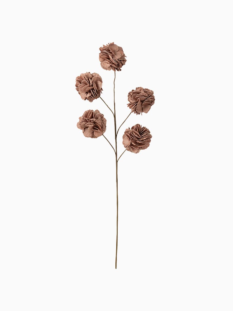Ramo Fiore 5 Pompon Eva Rosa Nude