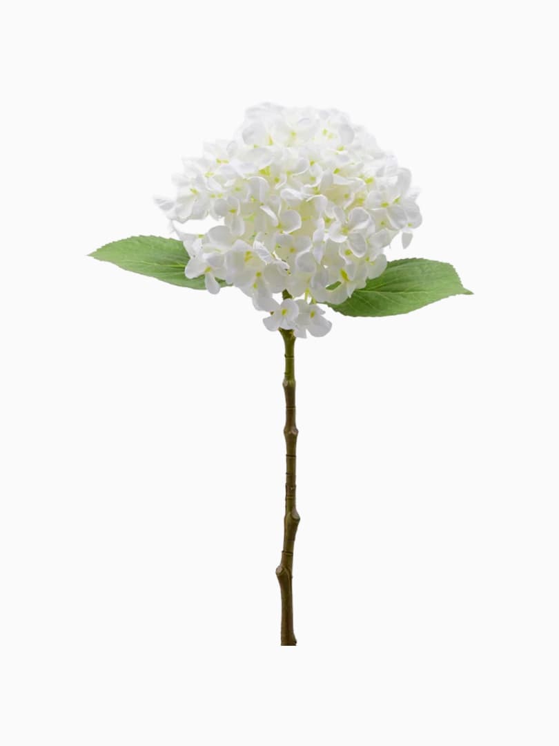 Ramo Ortensia Bianca