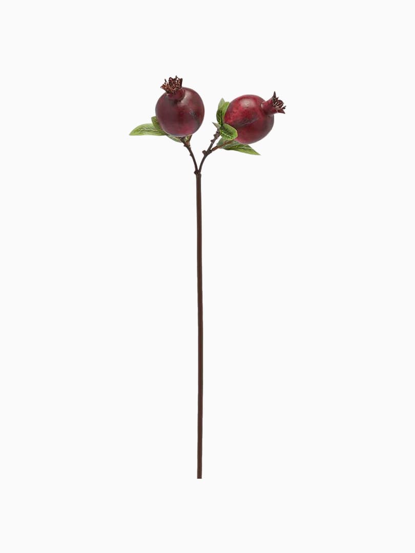 Ramo di Melograno con 2 Frutti