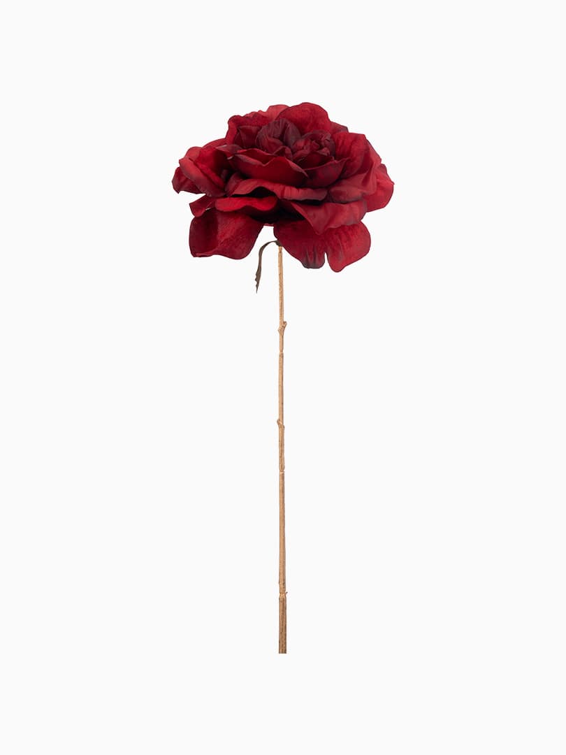 Ramo di Rosa Rossa con Gambo Oro