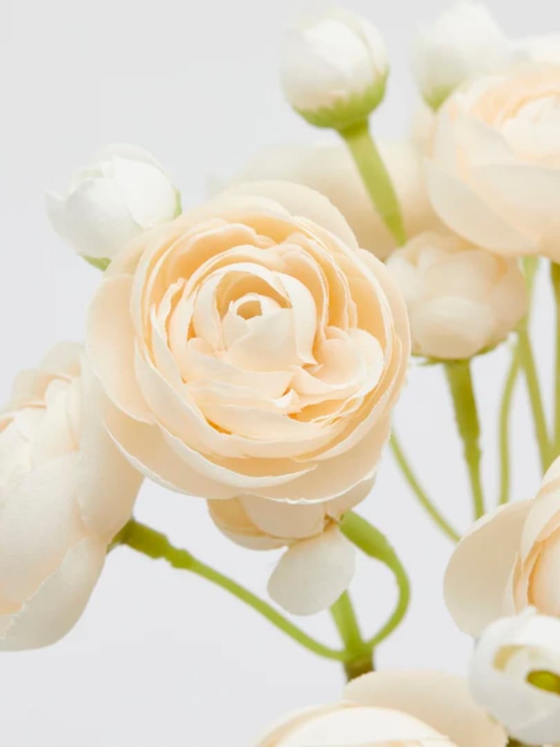 Ranuncoli in Mazzetto da 6