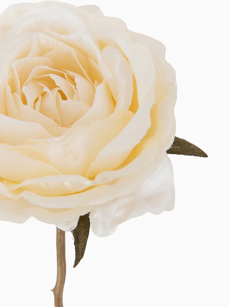 Rosa 1 Stelo Plastica Crema e Oro