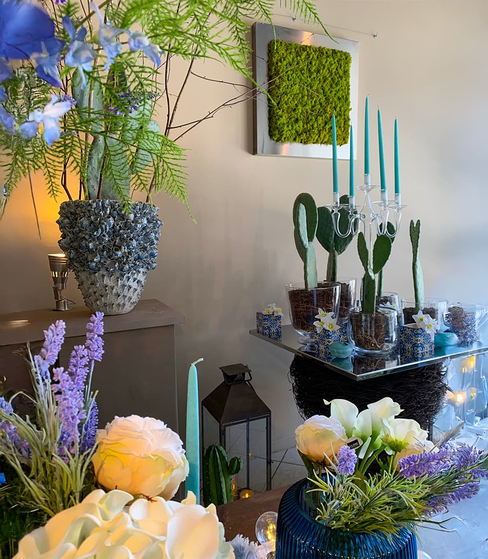 Showroom esposizione