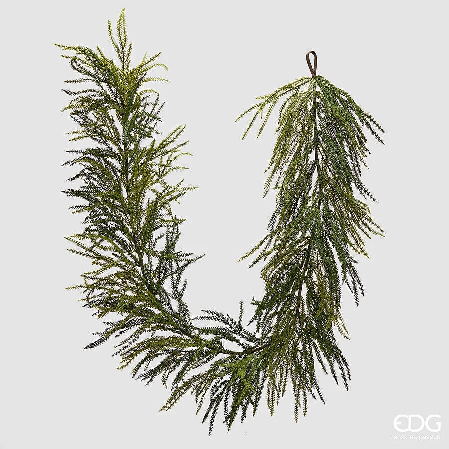 Festone Cryptomeria