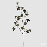 Cornus velluto verdone