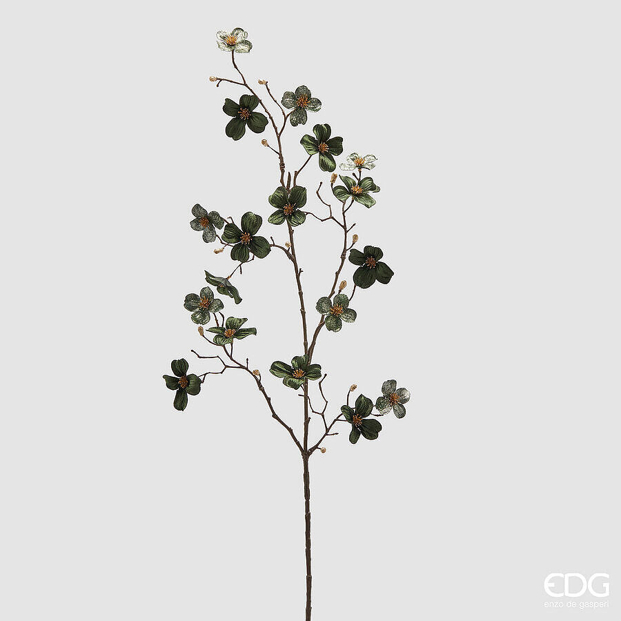 Cornus velluto verdone