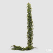 Festone Thuja