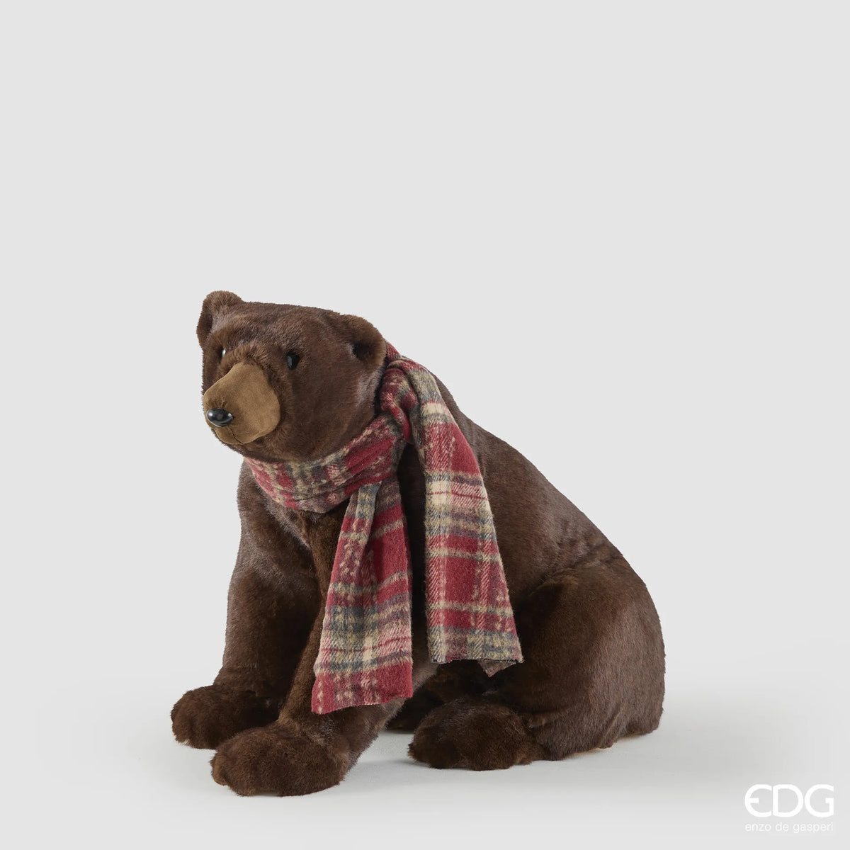 Orso a quattro zampe