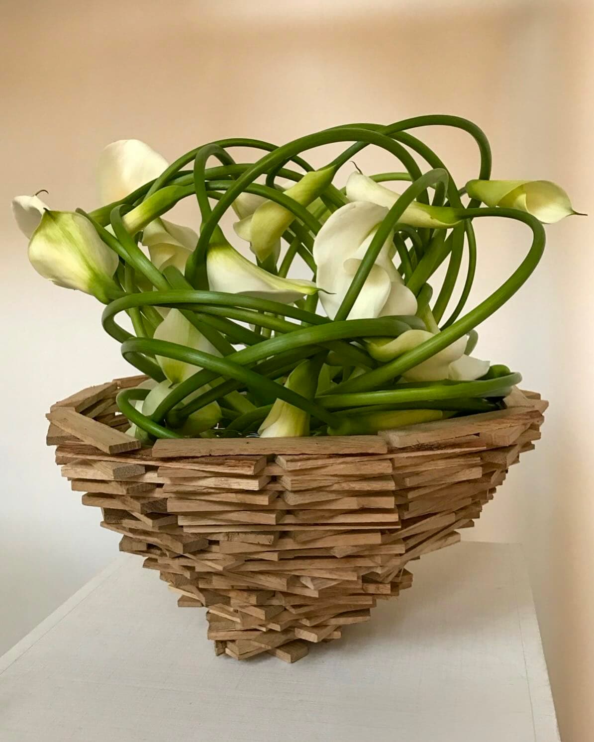 Enrico Castelli creazione