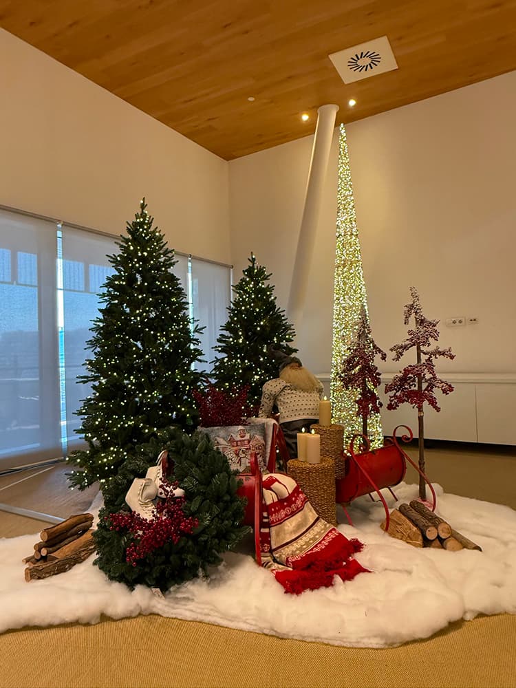 Eventi e allestimenti