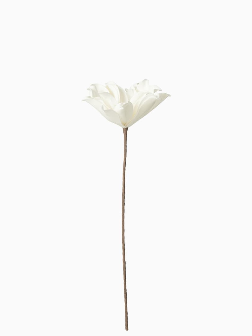 Fiore Foglie Corte 1 Testa Eva Bianco