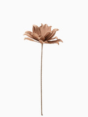 Fiore Foglie Corte 1 Testa Eva Rosa Nude