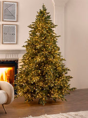 Pino Argentato Illuminato