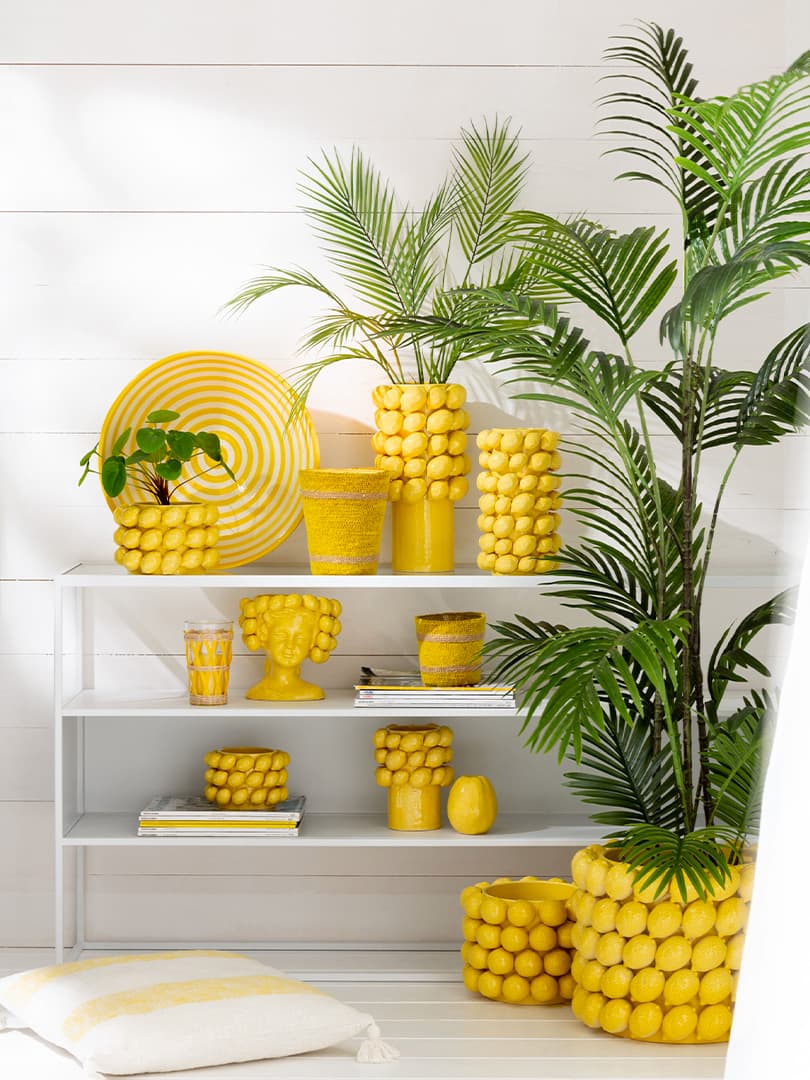 Portavasi Corde Riga Large Assortimento di 2