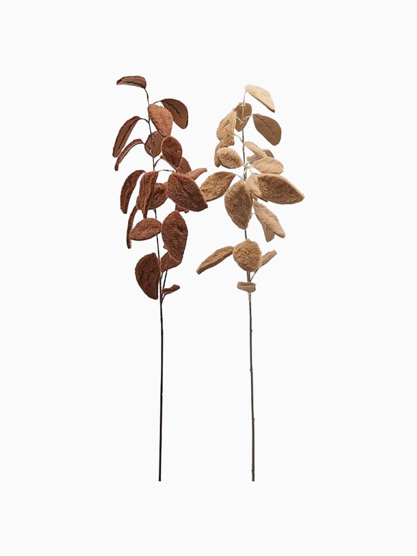 Ramo Eucalipto Furry