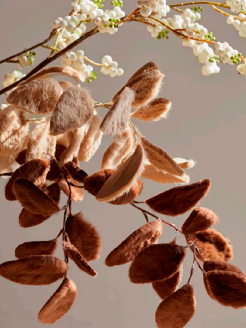 Ramo Eucalipto Furry