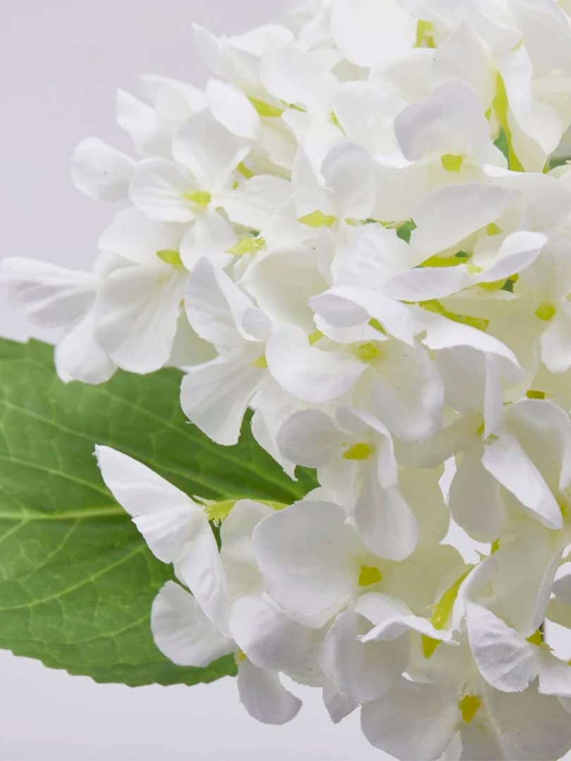 Ramo Ortensia Bianca