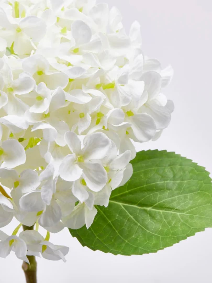 Ramo Ortensia Bianca