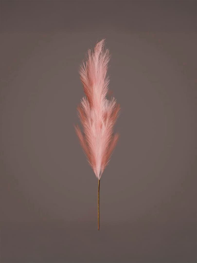 Ramo Pampa Pale Pink