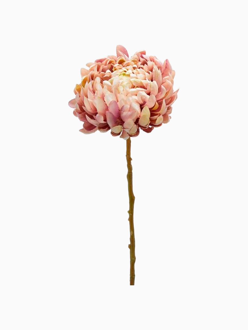 Ramo di Crisantemo Pink