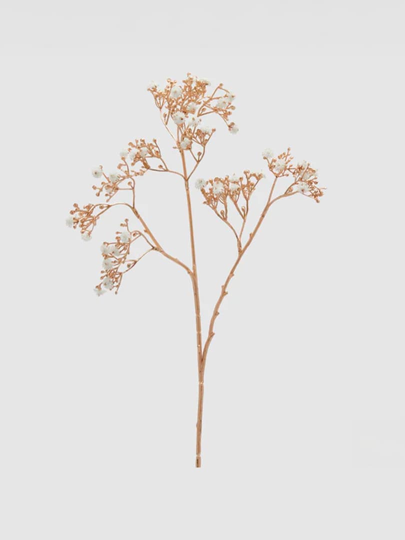 Ramo di Gypsophila Stelo Oro