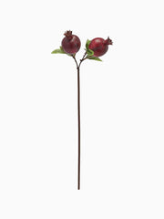 Ramo di Melograno con 2 Frutti