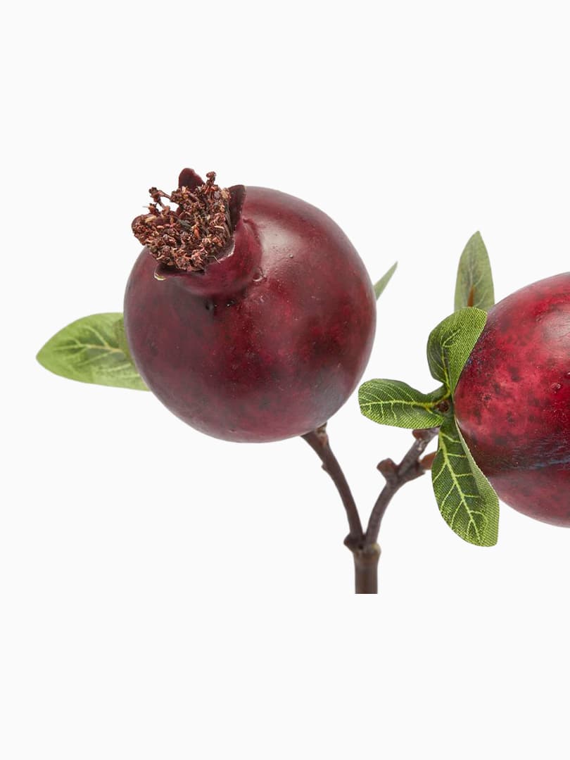 Ramo di Melograno con 2 Frutti