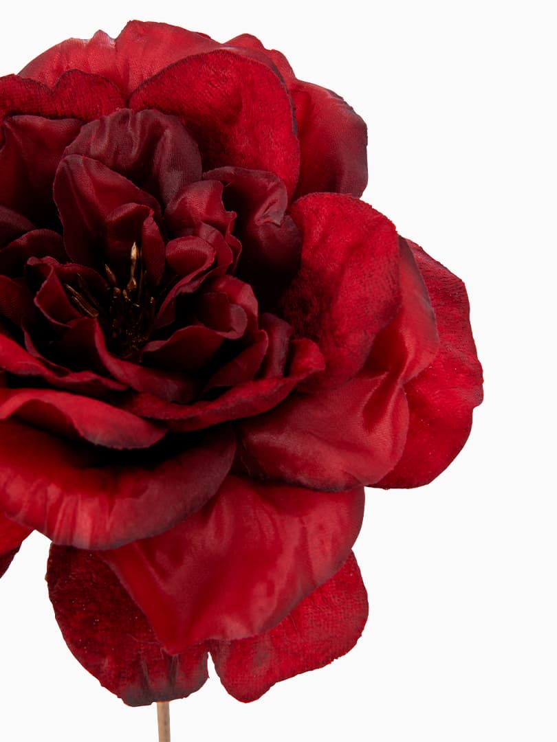 Ramo di Rosa Rossa con Gambo Oro