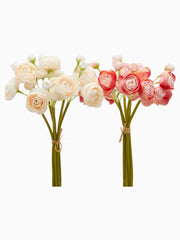 Ranuncoli in Mazzetto da 6