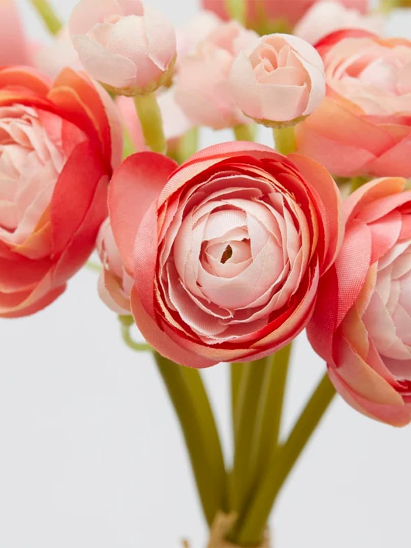 Ranuncoli in Mazzetto da 6