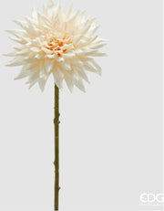 Dalia Crema