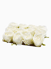 Testa di Rosa Classic Bianca