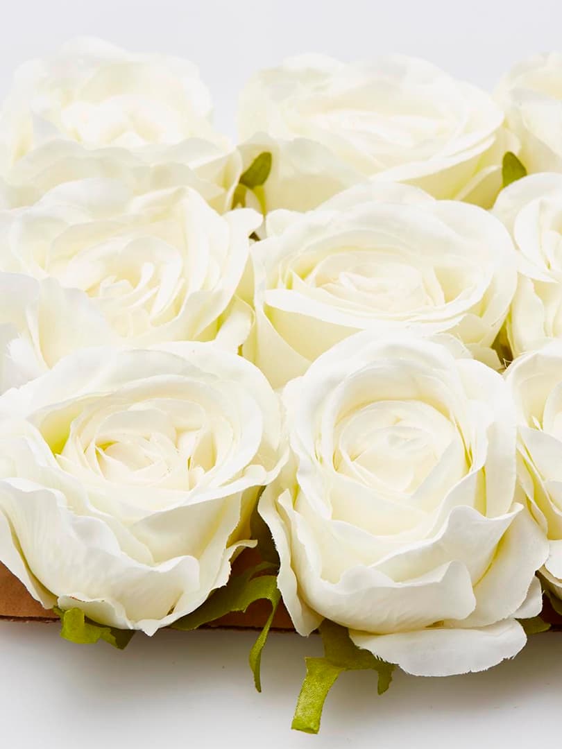 Testa di Rosa Classic Bianca