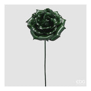 Rosa Glossy verdone