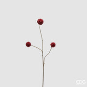 Ilex ramo