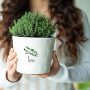 Vaso Timo
